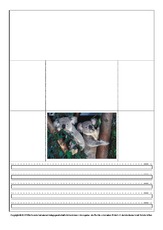 Popup-Buch-Koala-1-5.pdf